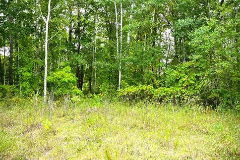 39904 Oriole Court Browerville MN 56438