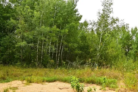 39904 Oriole Court Browerville MN 56438
