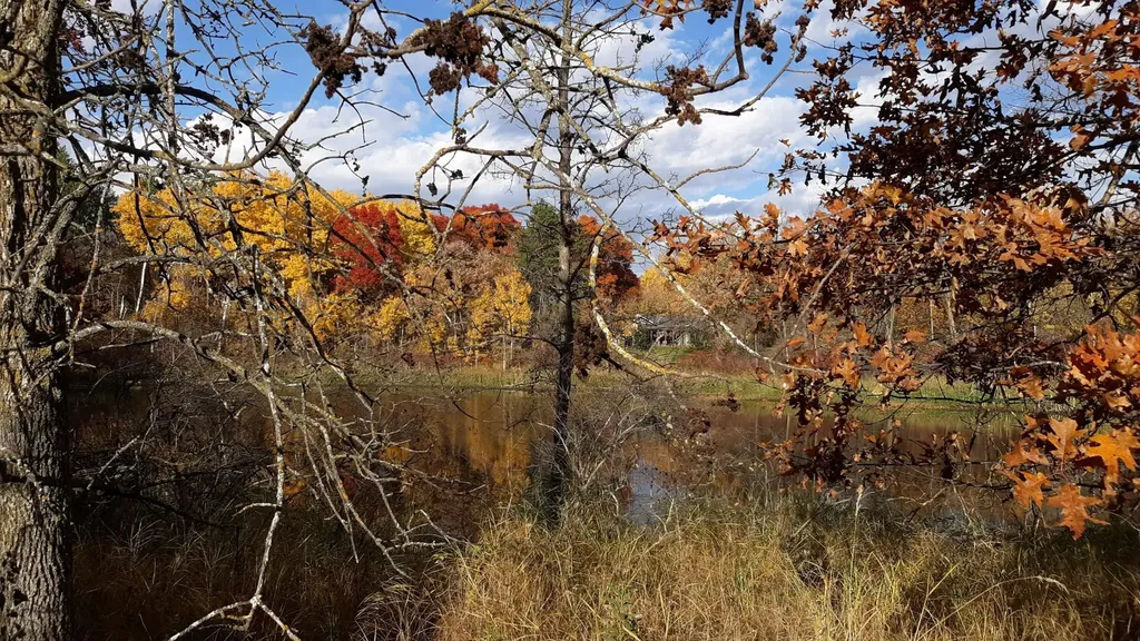 39902 Oriole Court Browerville MN 56438