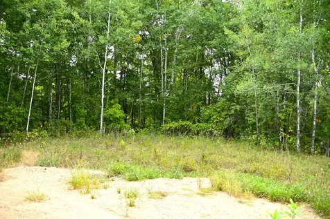 39902 Oriole Court Browerville MN 56438
