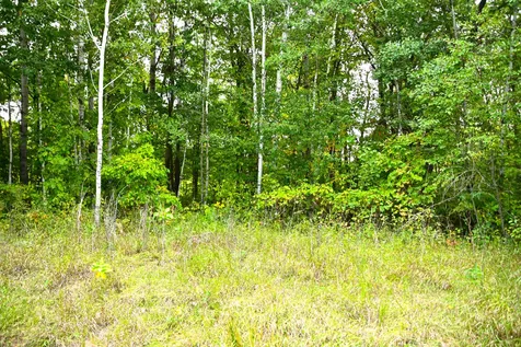39902 Oriole Court Browerville MN 56438