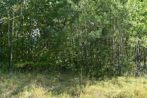39902 Oriole Court Browerville MN 56438