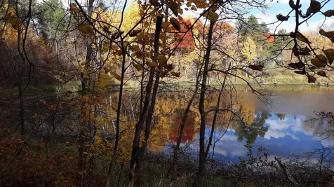 39902 Oriole Court Browerville MN 56438