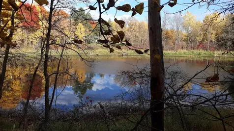 39902 Oriole Court Browerville MN 56438