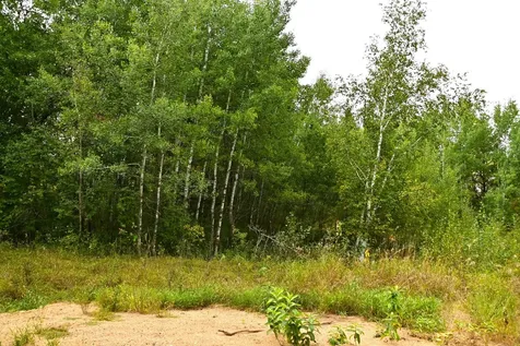 39902 Oriole Court Browerville MN 56438
