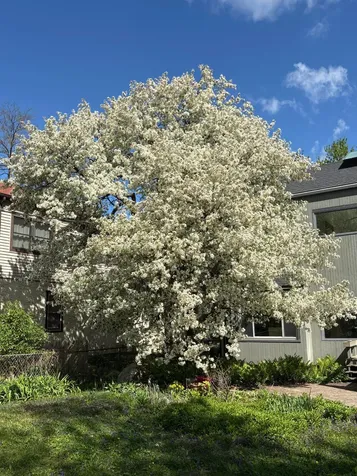 3121 E 22nd Street Minneapolis MN 55406