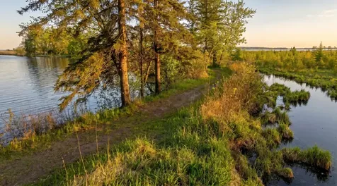 6425 Ponderosa Drive NW Walker MN 56484