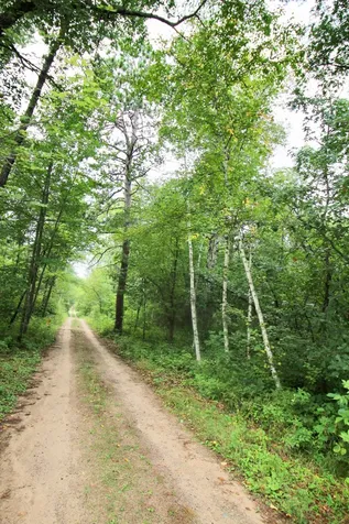 Tbd Gravdahl Drive Pequot Lakes MN 56472