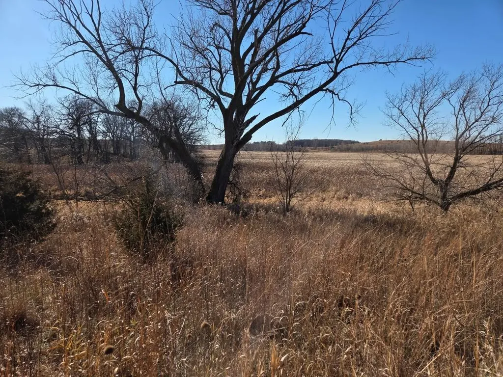 36999 141st Lane Montgomery MN 56069