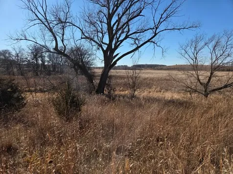 36999 141st Lane Montgomery MN 56069