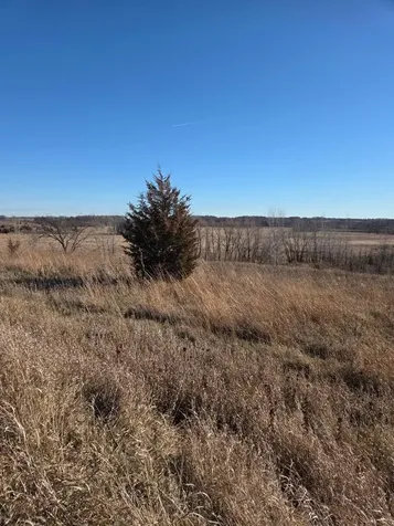 36999 141st Lane Montgomery MN 56069