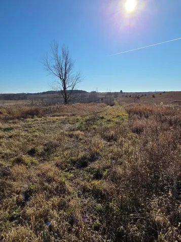 36999 141st Lane Montgomery MN 56069