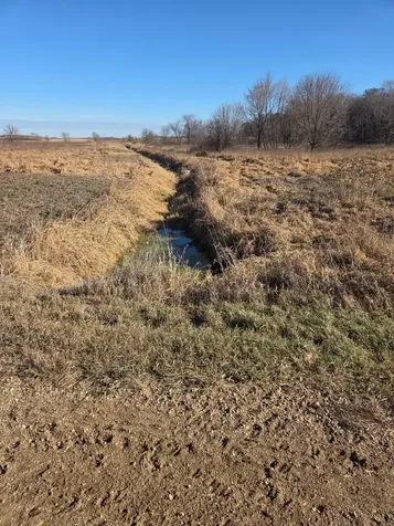 36999 141st Lane Montgomery MN 56069