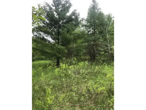 31603 Brook Park Road Brook Park MN 55007