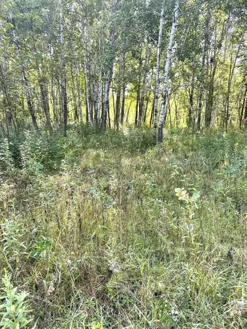 31603 Brook Park Road Brook Park MN 55007