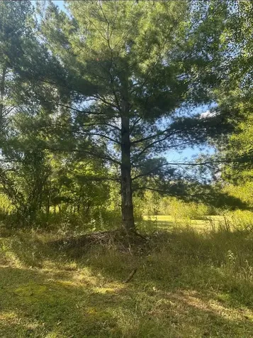 31603 Brook Park Road Brook Park MN 55007