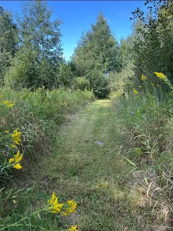 31603 Brook Park Road Brook Park MN 55007