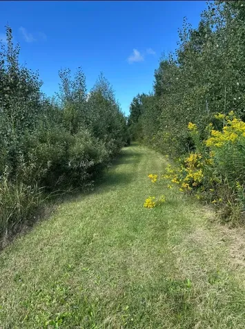 31603 Brook Park Road Brook Park MN 55007