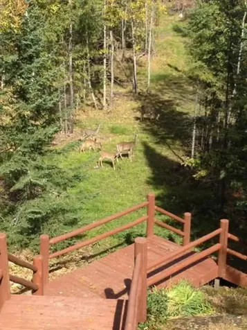2450 Keyes Island International Falls MN 56649