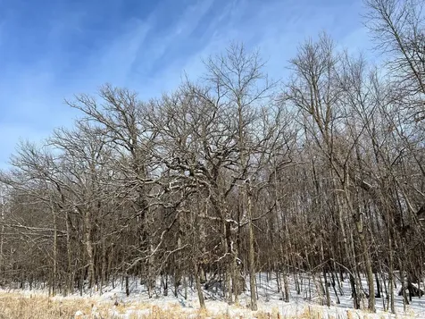 169XX Lake Boulevard Shafer MN 55074
