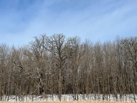 169XX Lake Boulevard Shafer MN 55074