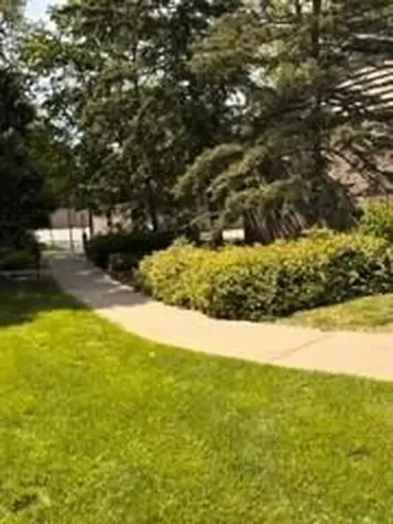 4442 Cedar Lake Road S Saint Louis Park MN 55416