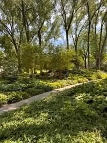 4442 Cedar Lake Road S Saint Louis Park MN 55416