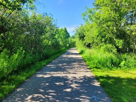 Lots 5 & 6 Branch Creek Road Detroit Lakes MN 56501