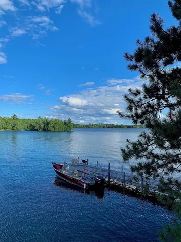 8481 Wakemup Narrows North Cook MN 55771