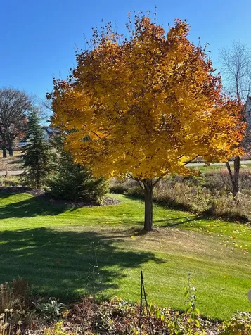 1430 25th Street Houlton WI 54082