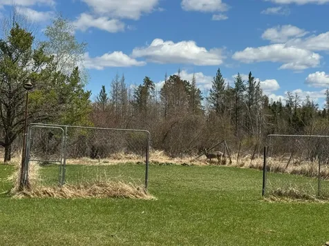 45293 Oak Leaf Road Sturgeon Lake MN 55783