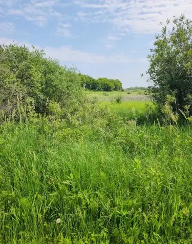 17168 263rd Avenue Paynesville MN 56362