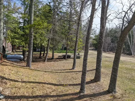 53533 Arbor Ridge Road NE Waskish MN 56685