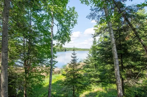 25440 O'donnell Lane Bigfork MN 56628