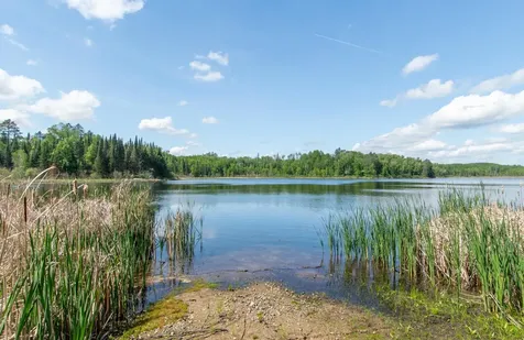 25440 O'donnell Lane Bigfork MN 56628