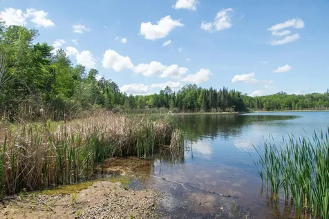 25440 O'donnell Lane Bigfork MN 56628