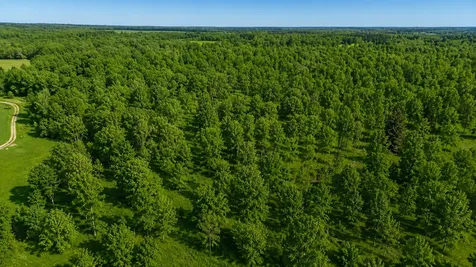 3231 Highway 65 Mora MN 55051