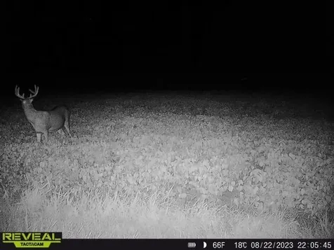 3231 Highway 65 Mora MN 55051