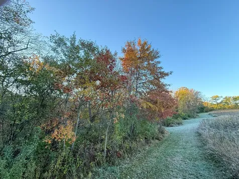 6302 20th Avenue SE Rochester MN 55904
