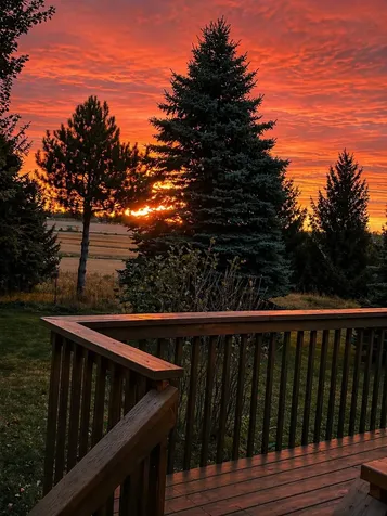 7914 50th Avenue NW Oronoco MN 55960