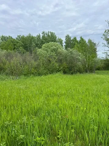 Tbd Coneflower Lane SW Pine River MN 56474