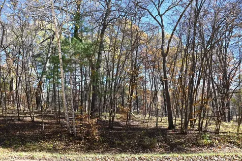 39884 Pine Island Pt Drive Browerville MN 56438