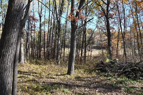 39884 Pine Island Pt Drive Browerville MN 56438