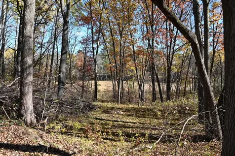 39884 Pine Island Pt Drive Browerville MN 56438