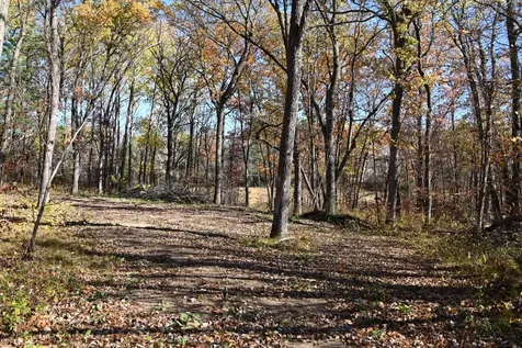 39884 Pine Island Pt Drive Browerville MN 56438