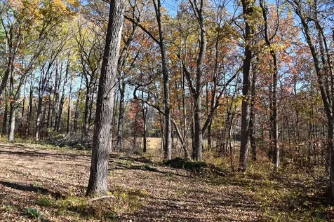 39884 Pine Island Pt Drive Browerville MN 56438