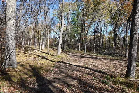 39884 Pine Island Pt Drive Browerville MN 56438