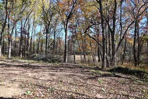39884 Pine Island Pt Drive Browerville MN 56438
