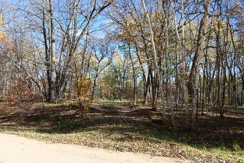39906 Pine Island Pt Drive Browerville MN 56438