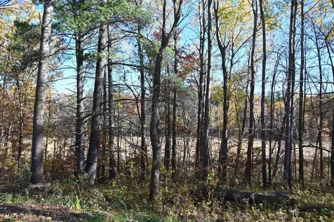 39906 Pine Island Pt Drive Browerville MN 56438